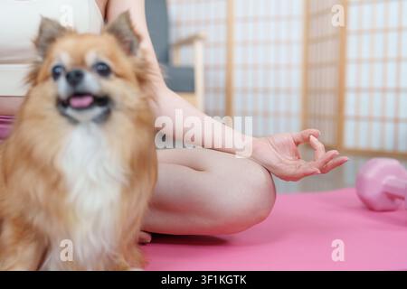 Main recadrée d'une femme en geste mudra de méditation sur un tapis de yoga pour la pleine conscience Banque D'Images