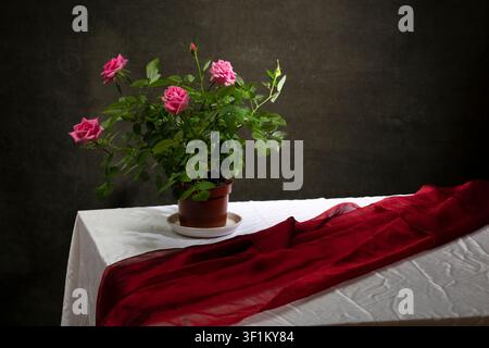 Nature morte avec un rosier dans un pot sur une table Banque D'Images