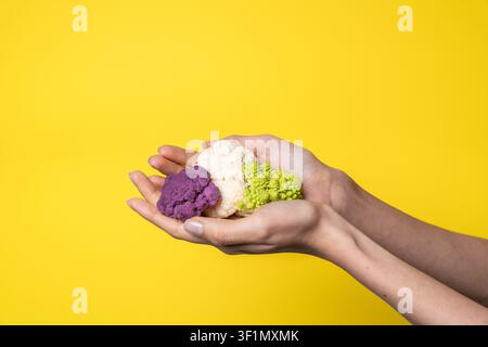 Gros plan de mains jointes tenant des fleurettes de chou-fleur violettes, blanches et vertes sur un fond jaune vif, symbolisant une alimentation saine, vegan fo Banque D'Images