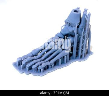 Modèle imprimé en 3D de la structure anatomique du pied, créé à l'aide de résine photopolymère sur une imprimante 3D. Squelette du pied humain imprimé en 3D à partir de résine liquide, isolé sur fond blanc Banque D'Images