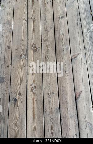Gros plan de la texture de planches de pont en bois usées avec veines et têtes de clous visibles. Banque D'Images
