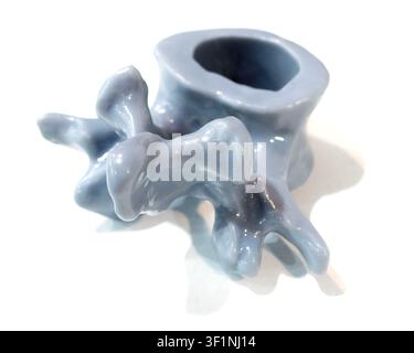Vertèbre humaine anatomique imprimée sur une imprimante 3D à partir de résine liquide isolée sur fond blanc. Objet créé à l'aide de résine photopolymère. Technologie SLA Stereolithographie. Fabrication additive moderne Banque D'Images