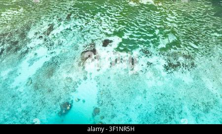Vue aérienne d'eaux turquoise claires se mêlant à des récifs coralliens peu profonds près du rivage. Seychelles. Banque D'Images
