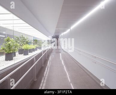 Long couloir illuminé avec des murs blancs, des plantes et des mains courantes créant un espace accessible et lumineux Banque D'Images