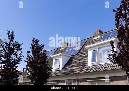 Panneaux solaires installés sur un toit résidentiel incliné avec lucarnes, cheminées en brique, arbres sombres Banque D'Images