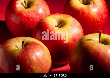 pommes colorées sur fond rouge Banque D'Images