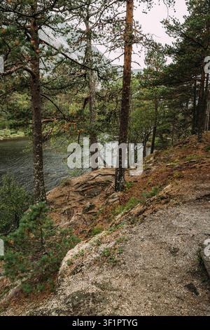 Sentier de randonnée à travers une forêt de pins près de Kinsarvik. Fjord du Sud, Norvège. Cascade géante dans la vallée des cascades. Les cascades de Husedalen étaient une série de Banque D'Images