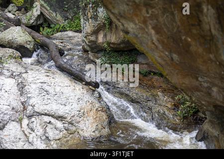 Un petit ruisseau rocheux s'écoulant sur des rochers moussus avec une bûche tombée et une végétation verte, scène paisible d'un ruisseau naturel avec de l'eau qui coule et une texture de roches Banque D'Images