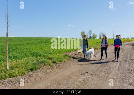 Amis promenant un Maremma Sheepdog le long d'une route rurale pittoresque par une journée ensoleillée Banque D'Images