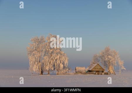 Une maison de village enneigée avec un toit brun dans un champ hivernal, une maison de village solitaire se dresse derrière une clôture en bois par une journée glaciale Banque D'Images
