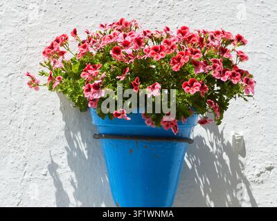 Géraniums rose vif dans un pot bleu traditionnel suspendu à un mur blanc texturé à Mijas Pueblo, Andalousie, Espagne. Banque D'Images