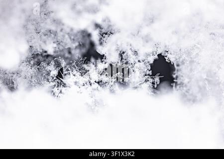 Macro d'une vraie neige fondante et de cristaux de glace sur un fond sombre en hiver Banque D'Images