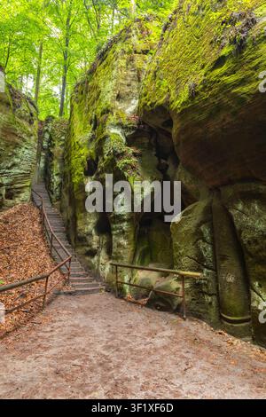 Chemins et escaliers traversant une gorge étroite en grès couverte de mousse en Tchéquie Banque D'Images