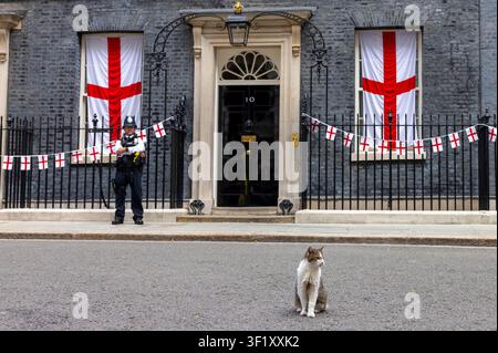 Londres, Royaume-Uni. 15 juillet 2026. Larry le Chat, Chef des souris du Trésor, à Downing Street avec les fanions de l'Angleterre pour le match contre l'Argentine. Credit : Karl Black/Alamy Live News Banque D'Images