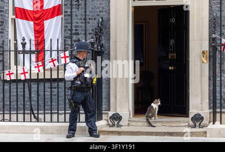 Londres, Royaume-Uni. 15 juillet 2026. Larry le Chat, Chef des souris du Trésor, à Downing Street avec les fanions de l'Angleterre pour le match contre l'Argentine. Credit : Karl Black/Alamy Live News Banque D'Images