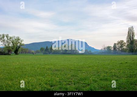 Prairie spacieuse du printemps avec de la fumée provenant d'un petit feu de camp, des arbres et la montagne du Salève sous un ciel pâle du soir. Banque D'Images