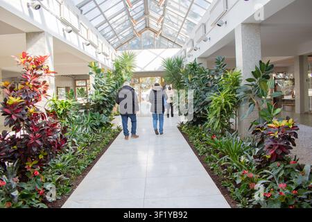 Musée de Yougoslavie - Maison des Fleurs (mausolée) est situé à Belgrade. Maison des Fleurs - lieu de repos de Josip Broz Tito Banque D'Images
