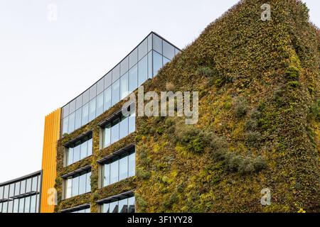Façade de bâtiment commercial respectueux de l'environnement avec mur couvert de plantes Banque D'Images
