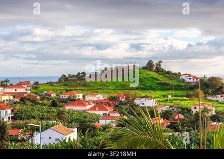 Village de Sao Jorge, Madère, où des maisons blanchies à la chaux avec des toits orange parsèment les coteaux verdoyants. Des plantations de bananiers denses recouvrent les pentes en terrasses Banque D'Images
