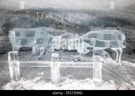 Vue des sculptures sur glace de deux vaches se faisant face à l'intérieur de la grotte de glace du Matterhorn Glacier Paradise à Zermatt, Valais, Suisse. Banque D'Images