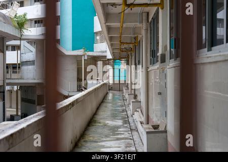 Allée longue et étroite entre les bâtiments. L'eau s'accumule sur le sol en béton. Des tuyaux jaunes pendent au-dessus. Des fenêtres bordent les deux côtés. Les murs verts contrastent avec Banque D'Images