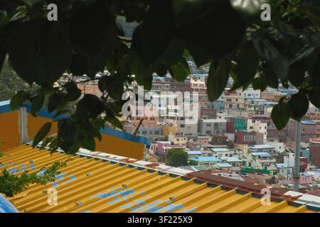Maisons colorées sur les collines du village culturel de Gamcheon encadrées par des feuilles au-dessus d’un toit de tuiles jaunes, Busan, Corée du Sud Banque D'Images