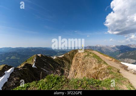 Un randonneur solitaire vêtu d'une veste jaune se tient sur un étroit sentier de crête au Fellhorn dans les Alpes d'Allgäu. Le plan grand angle met en valeur l'immense paysage alpin Banque D'Images