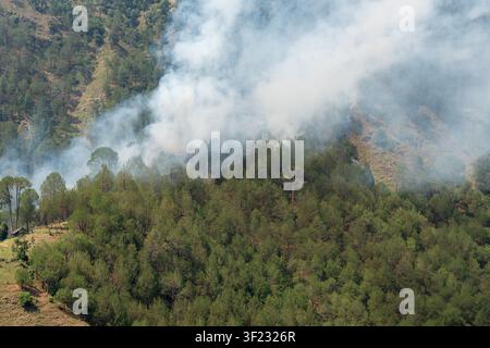 Vue aérienne d'un incendie de forêt ravageant une pinède dense dans la montagne, créant un grand nuage de fumée blanche qui dérive sur les pentes. Banque D'Images