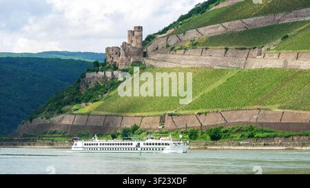 Vue sur le Rheingau, Rhénanie-Palatinat, Bingen-sur-le-Rhin, Allemagne Banque D'Images
