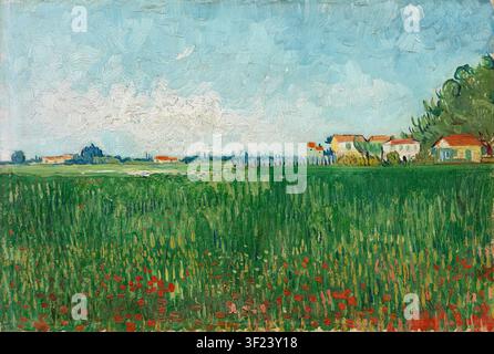 Vincent van Gogh – Champ de coquelicots / Veld met klaprozen, 1888 Peinture post-impressionniste à l'huile sur toile Banque D'Images