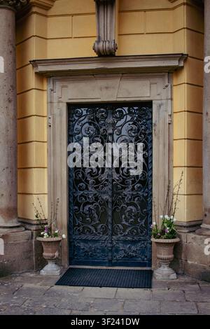 Portes en fer forgé magnifiquement décorées d'un château historique, mettant en valeur un artisanat exquis et des détails architecturaux élégants dans un plan vertical Banque D'Images