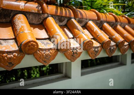 Close-up de tuiles de toit traditionnelles en argile orange à l'apparence usée, installées sur un mur blanc, entourées d'une végétation luxuriante, mettant en valeur la culture Banque D'Images