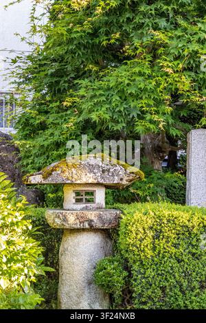 Lanternes traditionnelles japonaises en pierre entourées de plantes de jardin luxuriantes à côté d'une maison en bois, capturant la beauté paisible du design japonais Banque D'Images
