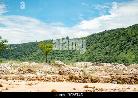 Paysage montagneux verdoyant avec une rive rocheuse et un arbre solitaire sous un ciel bleu éclatant Banque D'Images