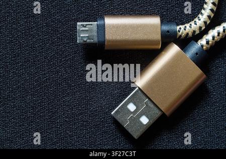 Connecteurs USB et micro USB en gros plan. Connecteurs USB dans un boîtier en aluminium avec un revêtement doré. Banque D'Images