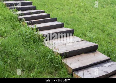 Marches et passerelle en bois sur une colline verte près d'un chalet de montagne rural. Nature, randonnée, tourisme rural et loisirs en plein air Banque D'Images