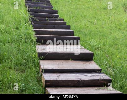 Marches et passerelle en bois sur une colline verte près d'un chalet de montagne rural. Nature, randonnée, tourisme rural et loisirs en plein air Banque D'Images