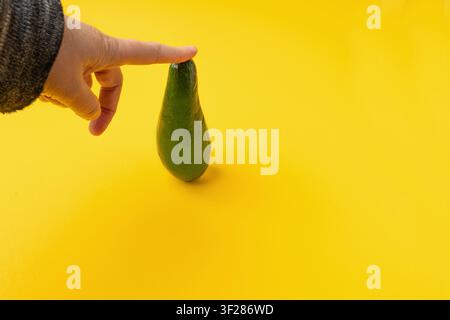 Avocat isolé, avocat entier, un avocat vert, une seule poire alligator fraîche, ingrédient de guacamole, fruit d'avocats longs sur fond jaune Banque D'Images