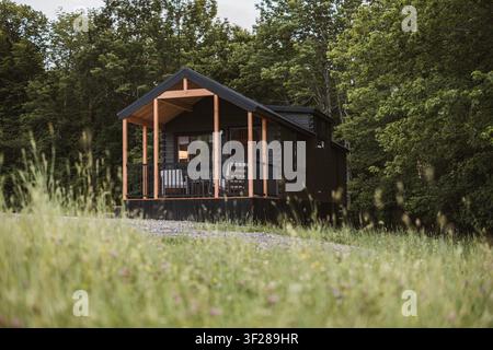 Cabane en rondins noire moderne nichée dans une forêt luxuriante et verte Banque D'Images