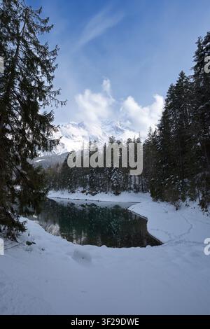 Un magnifique cliché vertical de l'eau turquoise immaculée du lac Eibsee en hiver, avec son rivage enneigé, ses pins et sapins recouverts de givre, et un Banque D'Images