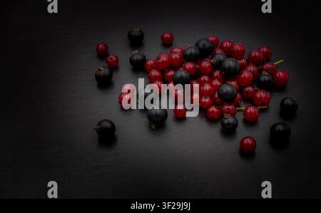Cassis rouges et noirs frais sur fond d'ardoise sombre Banque D'Images