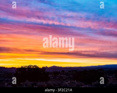 Un ciel vibrant peint l'horizon du désert dans des teintes roses, oranges et violettes. Des buissons en silhouette se dressent en contrebas, nets contre la terre lumineuse. Les collines lointaines s'estompent ainsi Banque D'Images