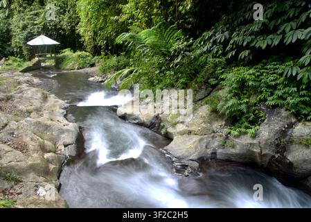 Cascades de Gitgit dans le regence de Buleleng à Bali Banque D'Images