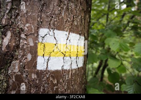 Marqueur de sentier de randonnée sur un arbre dans la forêt. Banque D'Images