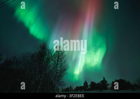 Les aurores boréales envoûtantes dansent dans le ciel arctique au-dessus des îles Lofoten en hiver. L'aurora vibrante illumine le paysage tranquille et enneigé Banque D'Images