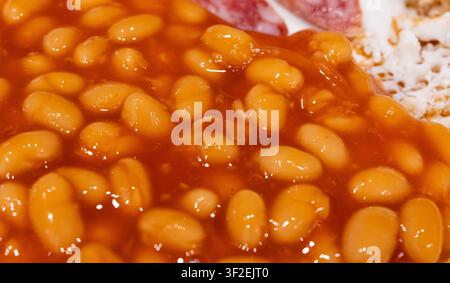 Haricots blancs cuits au four dans une sauce tomate, texture en gros plan. Légumineuse cuite et en conserve avec motif de ketchup, petit ragoût de rein sur fond flou, sélectif Banque D'Images