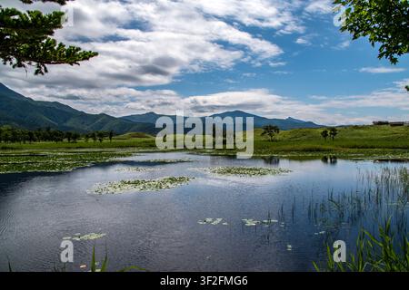 Belle vue panoramique du Premier Lac des Cinq Lacs de Shiretoko avec des nénuphars, des zones humides verdoyantes environnantes et la chaîne de montagnes de Shiretoko sous Banque D'Images