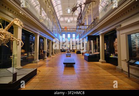 Aperçu des 200 objets de trésor, artefacts dans la section de la Long Gallery de Westpac. Au musée australien de Sydney. Banque D'Images