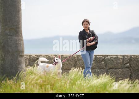 Femme promène son chien le long d'un sentier herbeux côtier. Elle tient la laisse doucement, calme et concentrée. Le chien blanc bondit à ses côtés, plein d'énergie. L'arrière-plan montre dis Banque D'Images