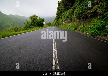 Route déserte à travers le paysage de l'île de Flores, Açores Banque D'Images